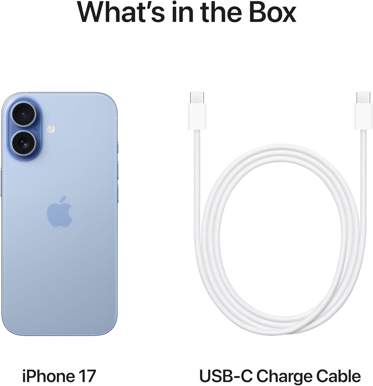 Apple iPhone 17 eSIM / No Physical SIM