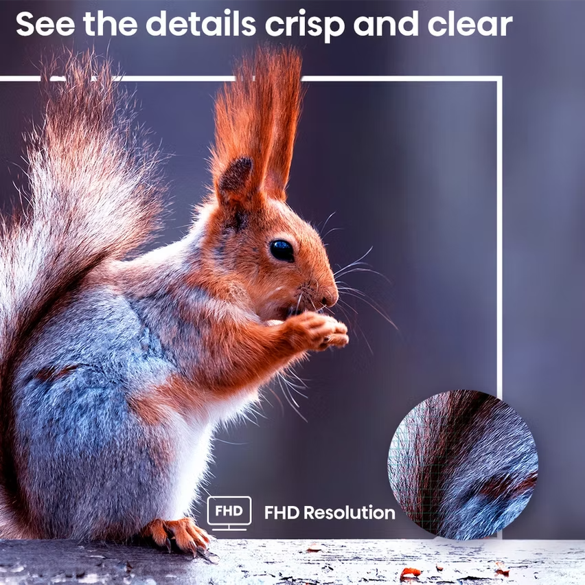 Hisense A4NR 43" FHD Roku Smart TV (2025)