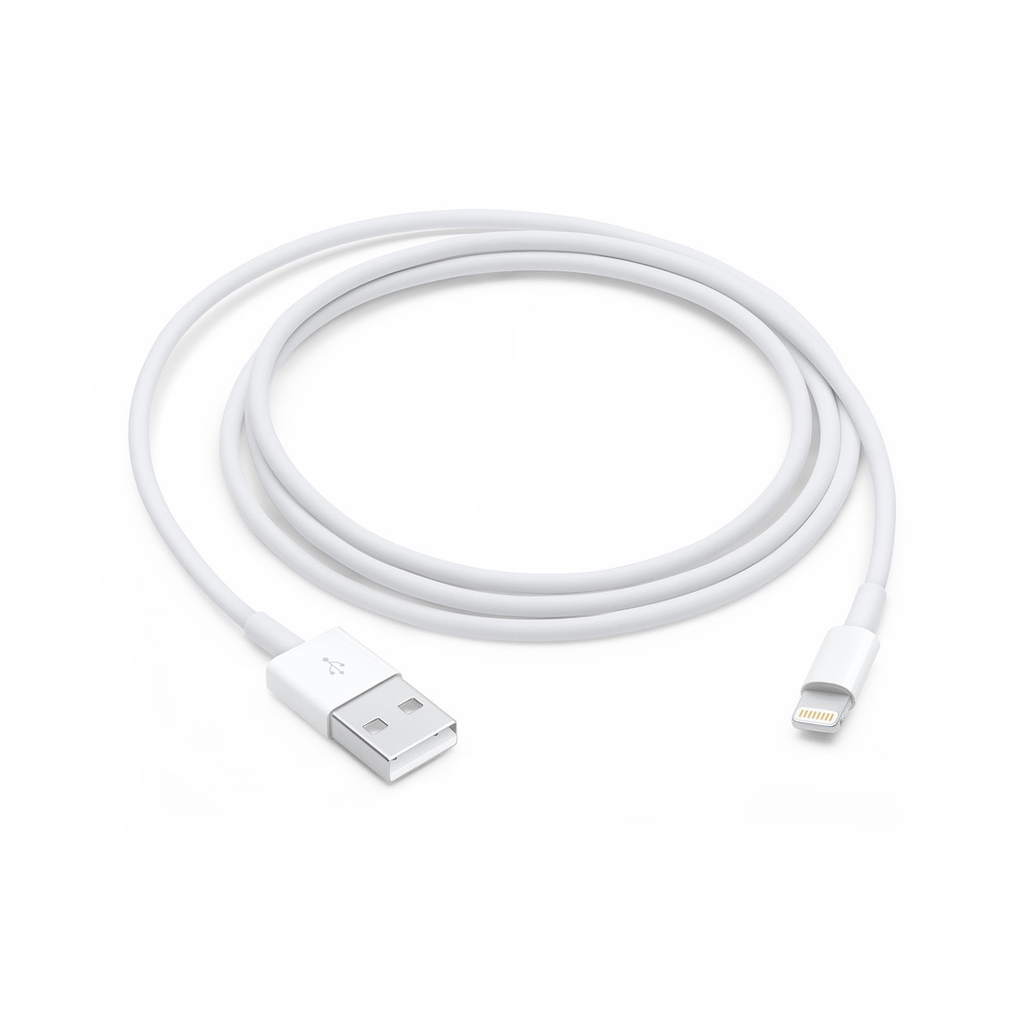 Apple Lightning to USB Cable (2 Meter)