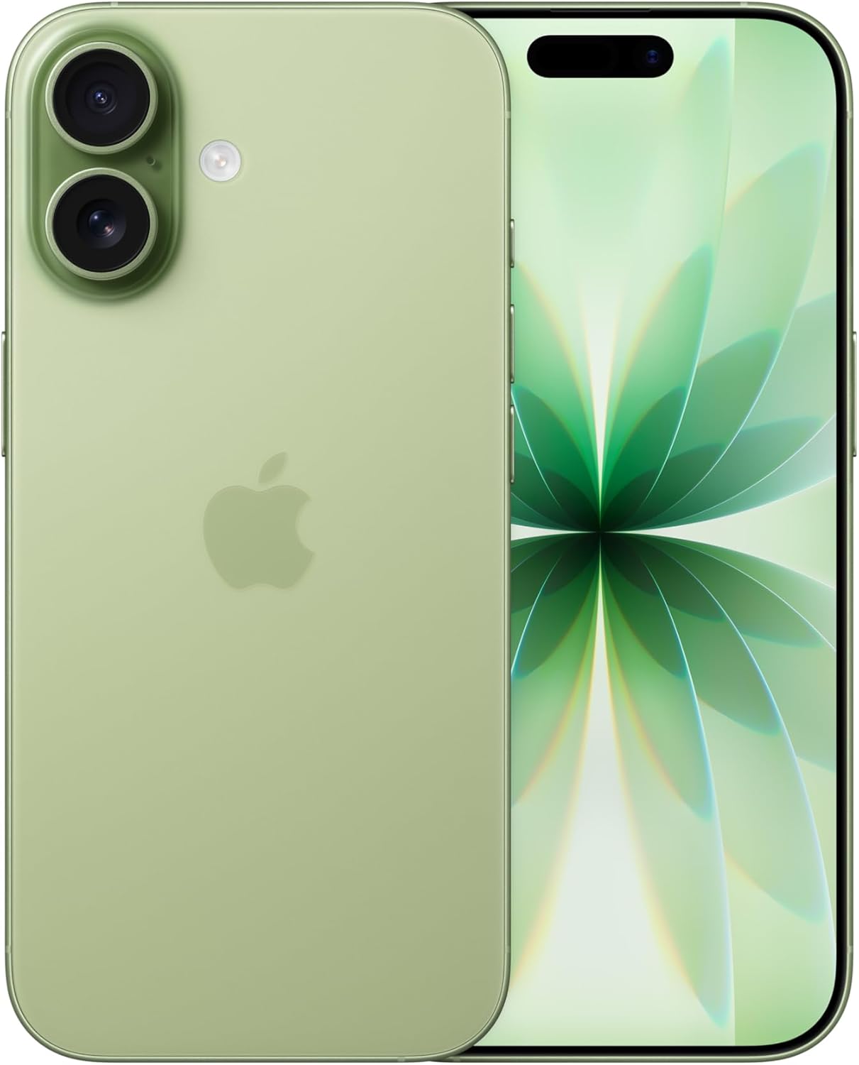 Apple iPhone 17 eSIM / No Physical SIM