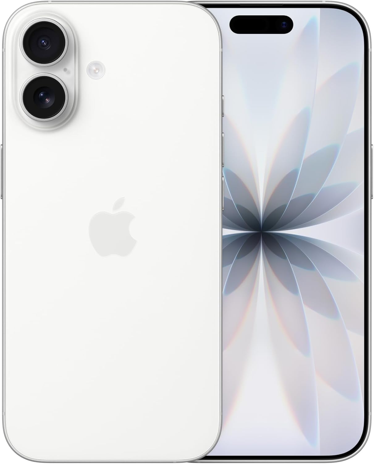Apple iPhone 17 eSIM / No Physical SIM