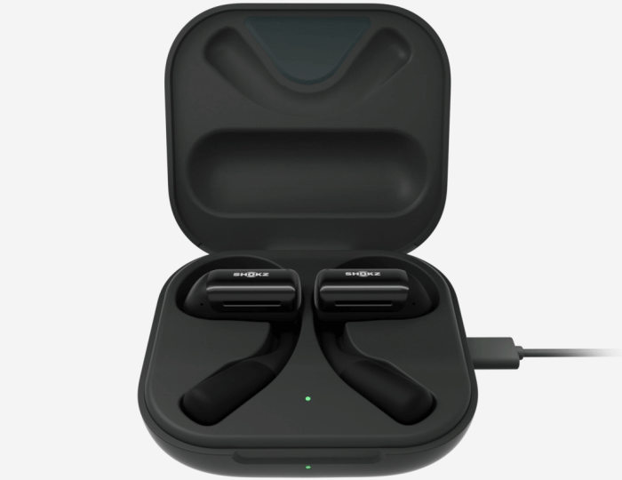 Shokz OpenDots Open-Ear True Wireless Earbuds