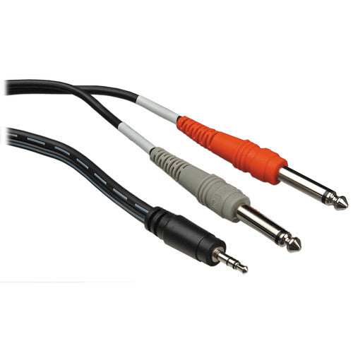 Hosa Technology Stereo Mini (3.5mm) Male to 2 Mono 1/4" Male Insert Y-Cable (10')
