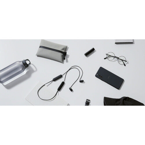 Sony WI-C100 Wireless In-Ear Headphones