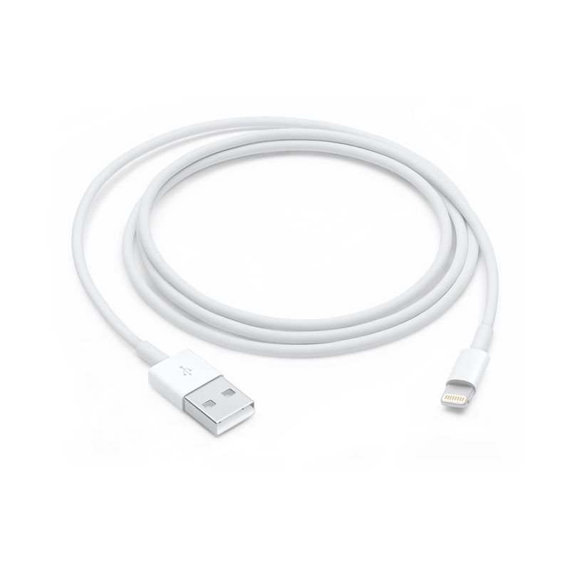 Apple Lightning to USB Cable (1 Meter)