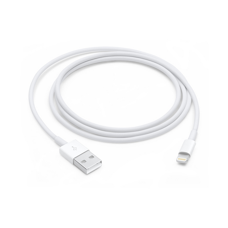 Apple Lightning to USB Cable (2 Meter)
